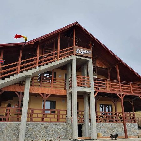 Agropensiunea Caprioara Mintia Bagian luar foto