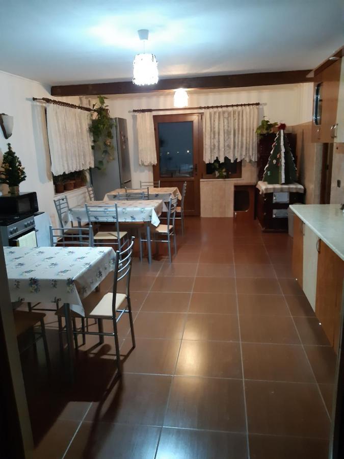 Agropensiunea Caprioara Mintia Bagian luar foto